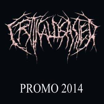 Critical Disaster : Promo 2014